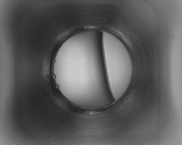 X0000102260543200807250840