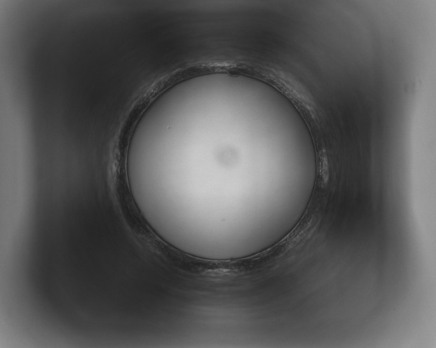 X0000102260544200807250840