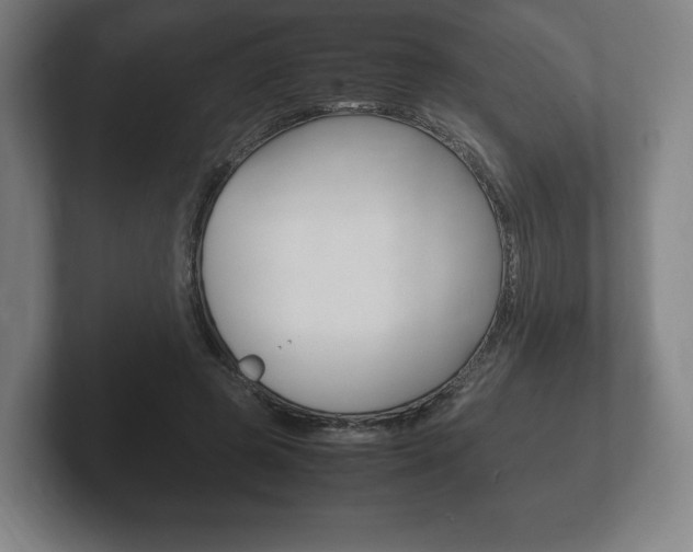 X0000102260545200807250840