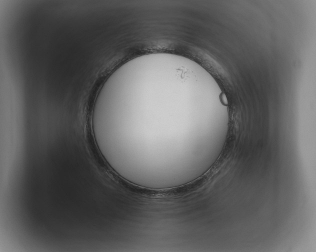 X0000102260546200807250840