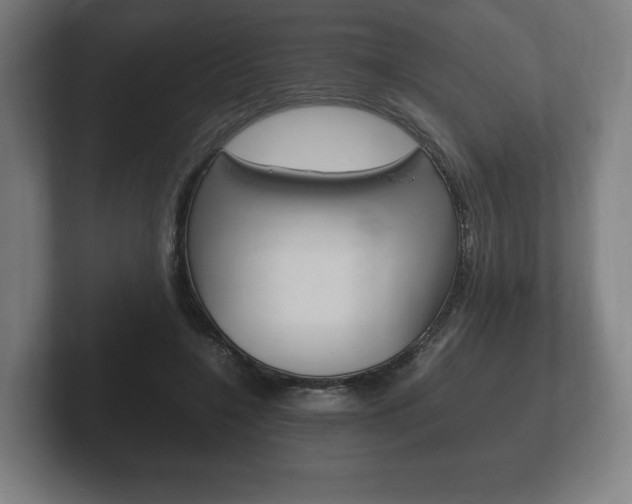 X0000102260548200807250840