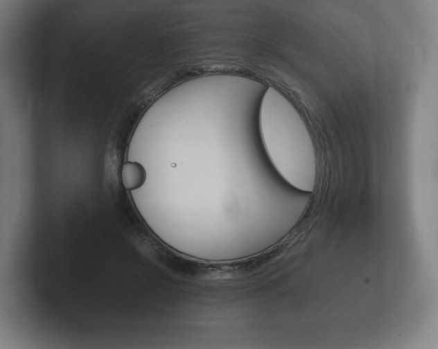 X0000102260550200807250840
