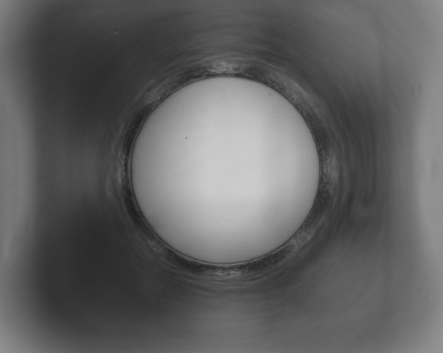X0000102260554200807250840