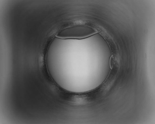 X0000102260556200807250840