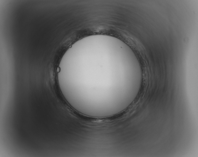 X0000102260558200807250840