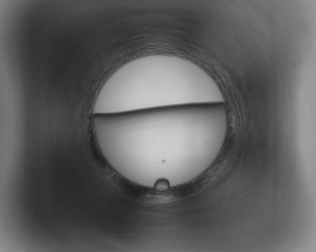 X0000102260559200807250840
