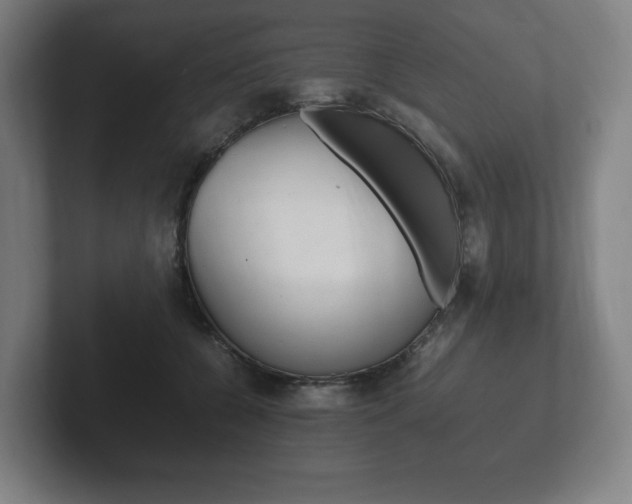 X0000102260560200807250840