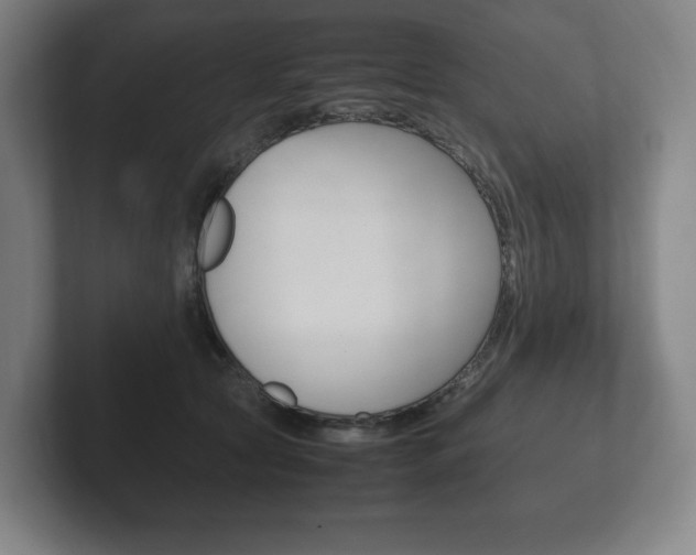 X0000102260561200807250840
