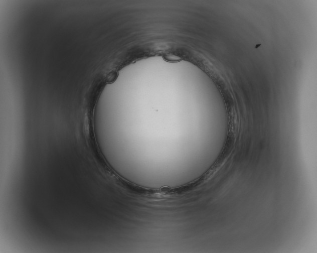 X0000102260562200807250840