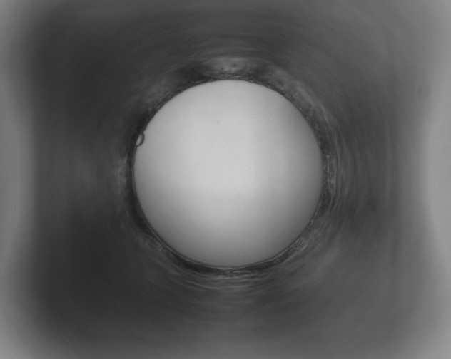 X0000102260563200807250840