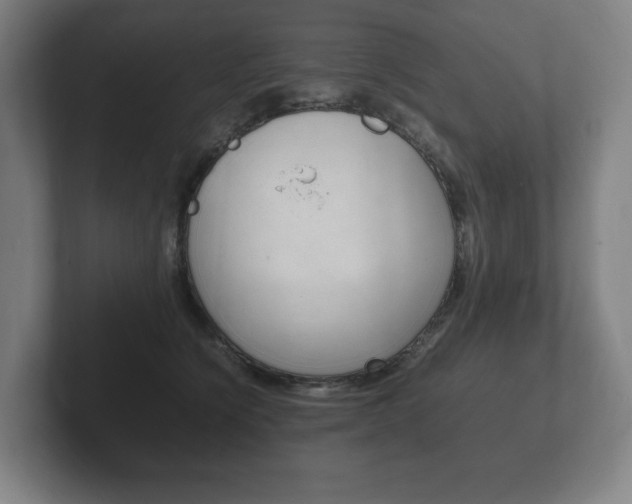 X0000102260564200807250840