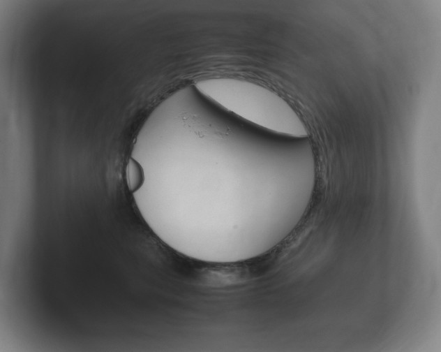 X0000102260567200807250840
