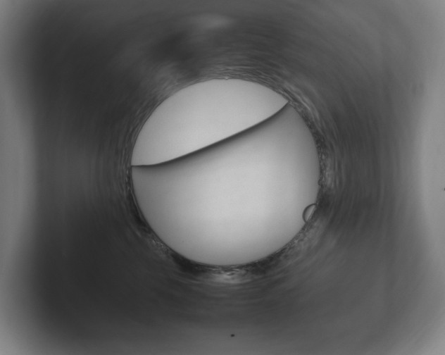 X0000102260569200807250840