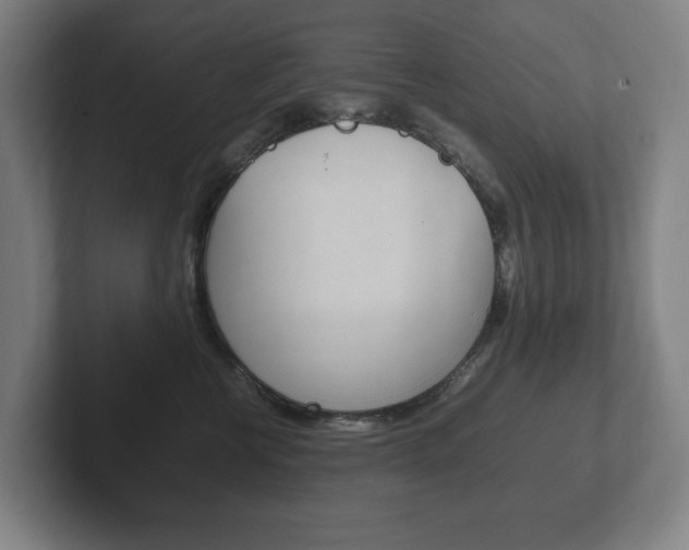 X0000102260570200807250840