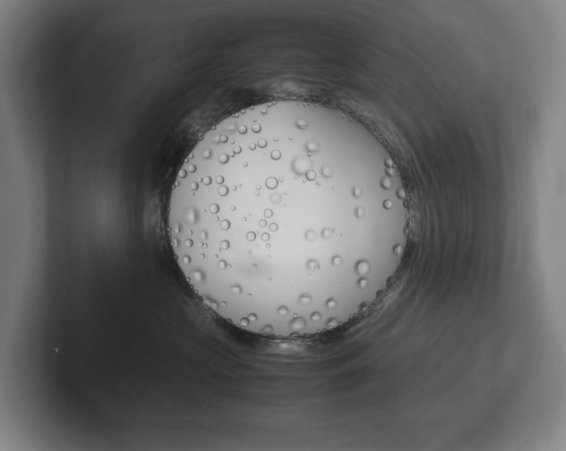 X0000102260573200807250840