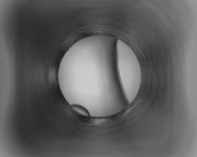 X0000102260575200807250840