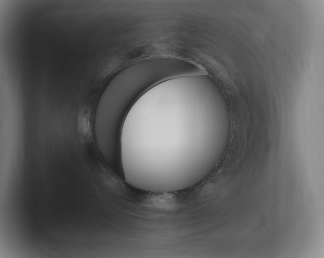 X0000102260576200807250840