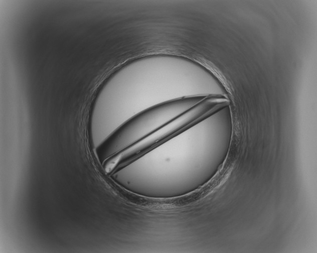 X0000102260577200807250839