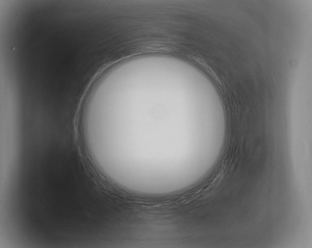 X0000102260579200807250839
