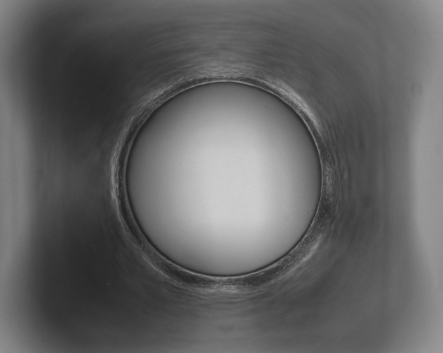 X0000102260581200807250839