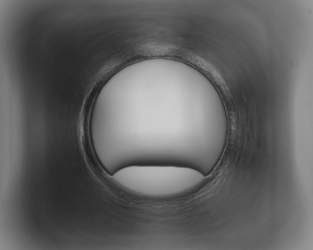 X0000102260582200807250839
