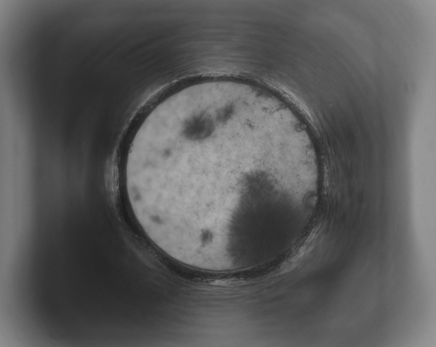 X0000102260584200807250839