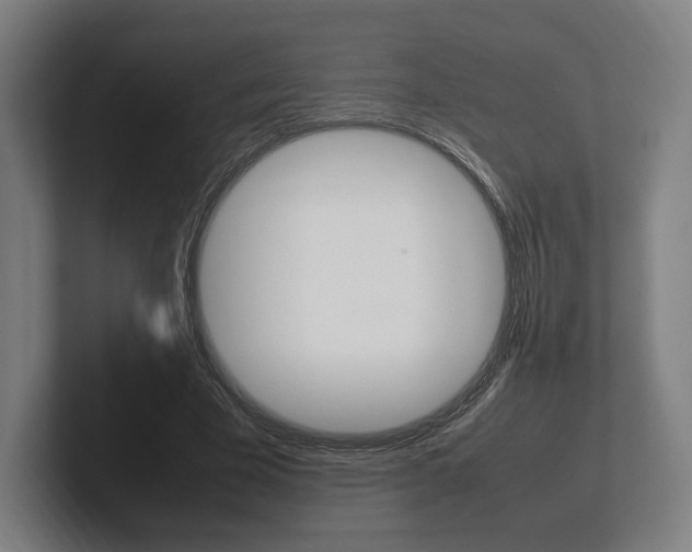 X0000102260585200807250839