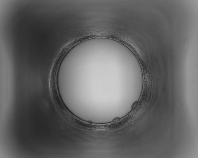 X0000102260587200807250839