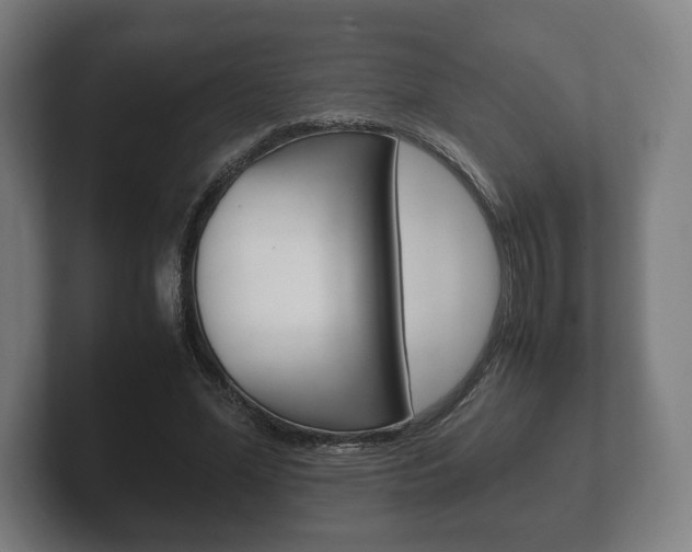 X0000102260588200807250839