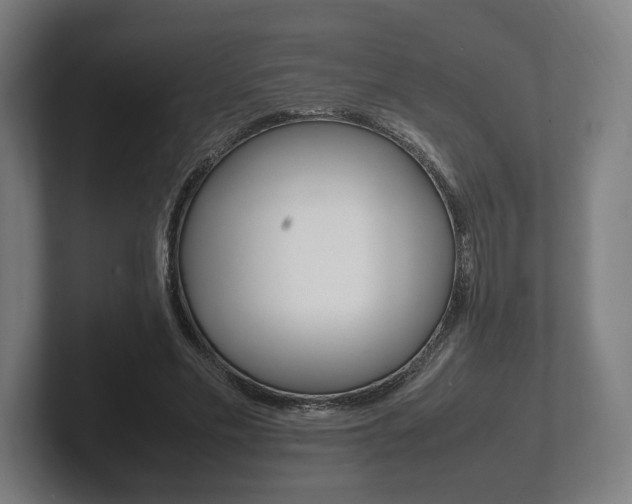 X0000102260589200807250839