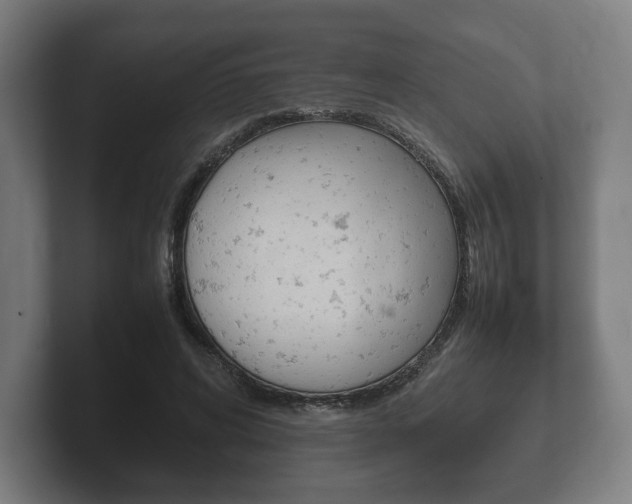 X0000102260592200807250839