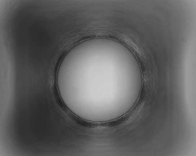 X0000102260593200807250839