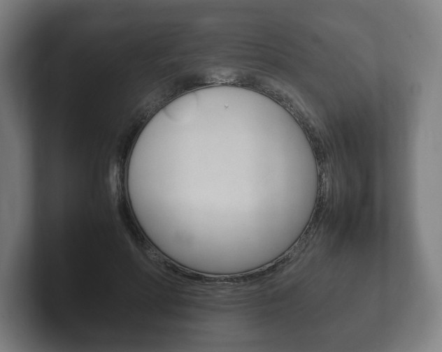 X0000102260598200807250839