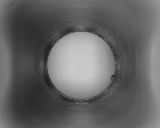 X0000102260599200807250839
