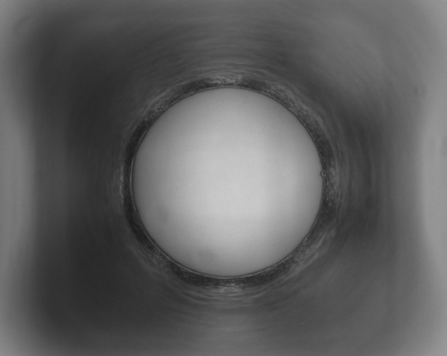 X0000102260600200807250839
