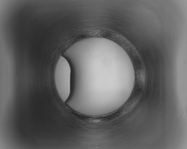 X0000102260602200807250839