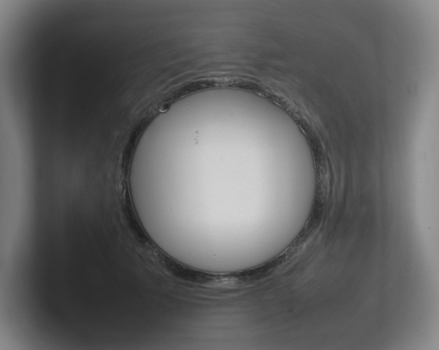 X0000102260609200807250839