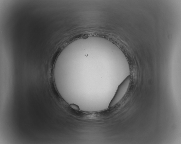 X0000102260611200807250839
