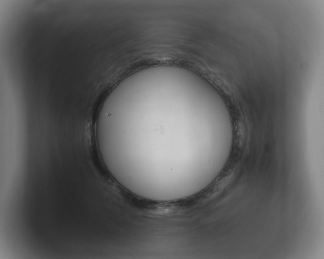X0000102260612200807250839