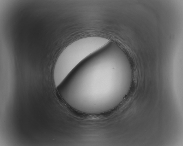 X0000102260613200807250839