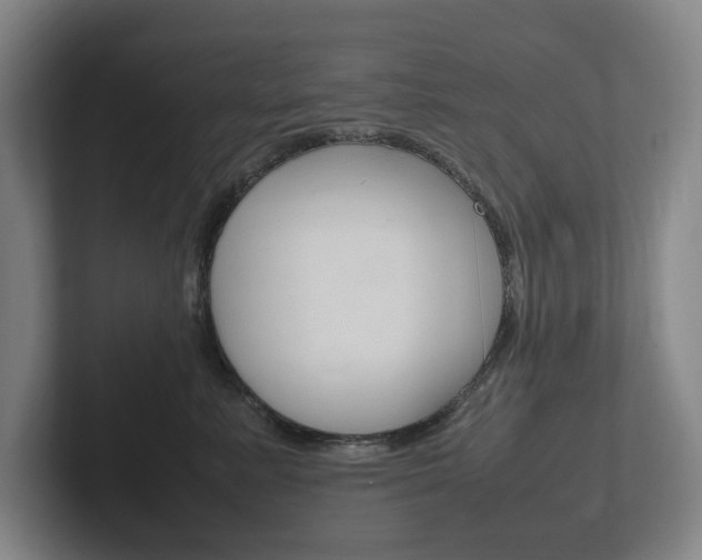 X0000102260619200807250839