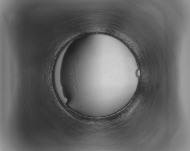X0000102260625200807250838