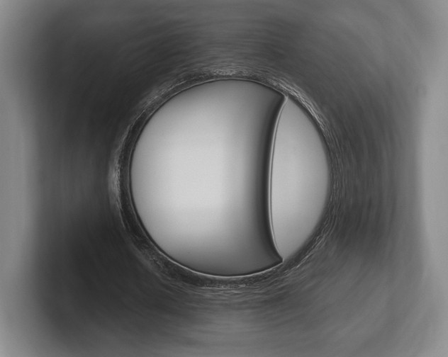 X0000102260626200807250838
