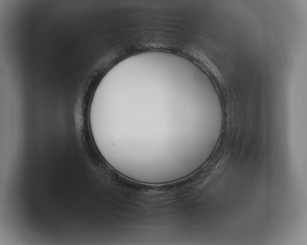 X0000102260635200807250838