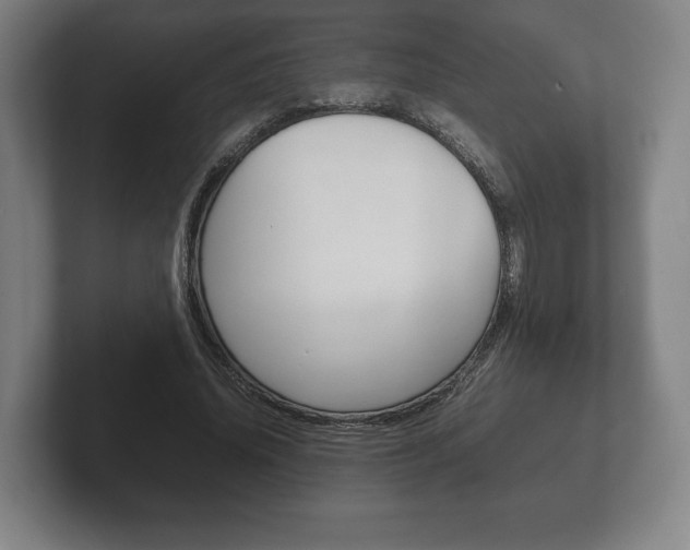 X0000102260636200807250838