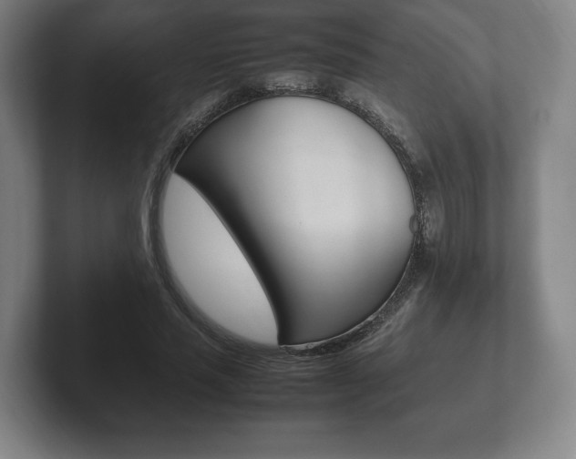 X0000102260637200807250838