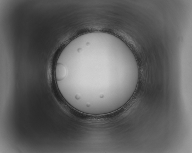 X0000102260638200807250838
