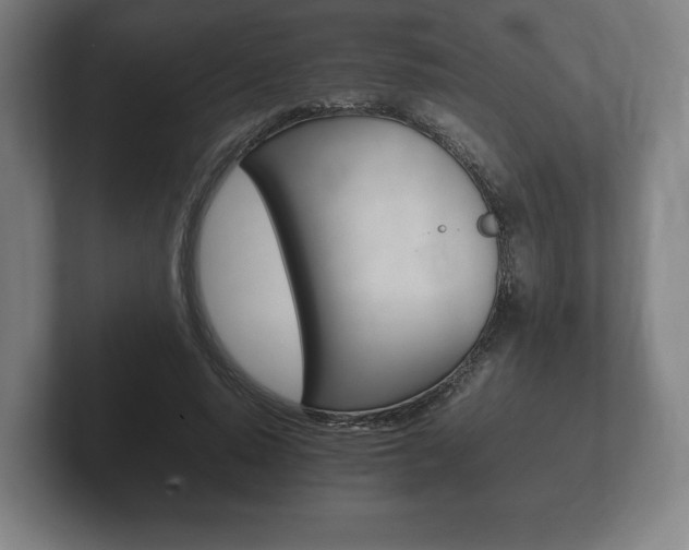 X0000102260640200807250838