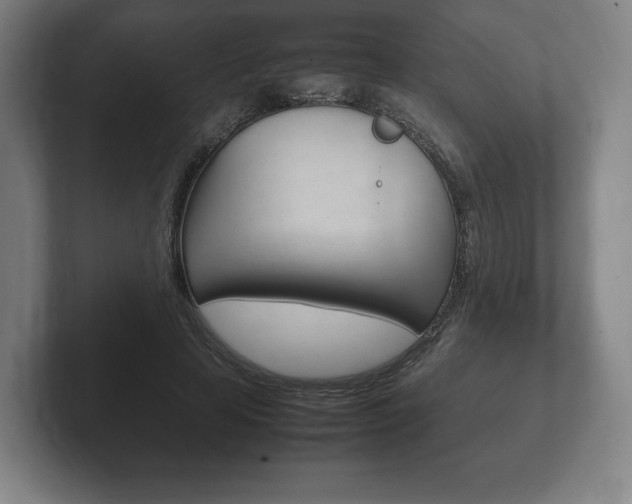 X0000102260641200807250838