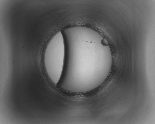 X0000102260642200807250838